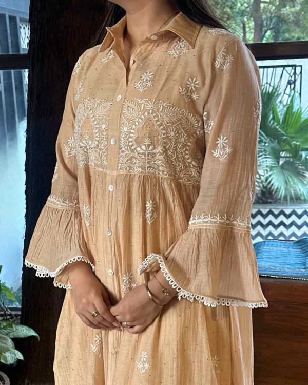 Mal Chikankari Dress