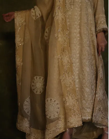 Coral Motif Noor Organza Dupattas | Beige
