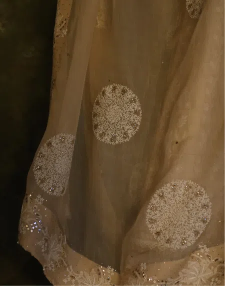 Coral Motif Noor Organza Dupattas | Beige