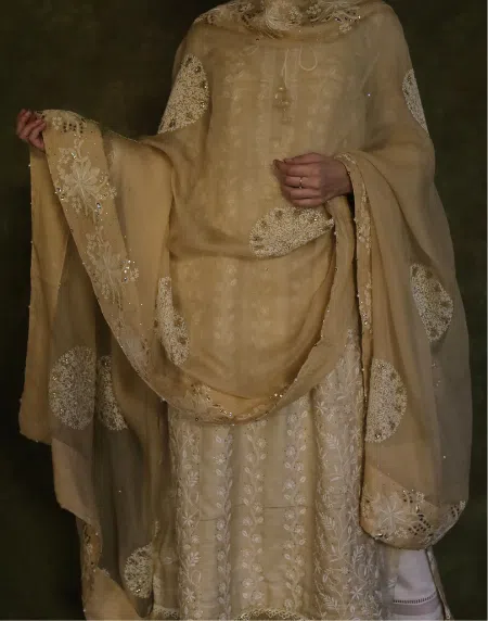 Coral Motif Noor Organza Dupattas | Beige