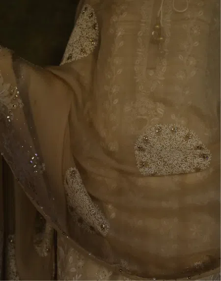 Coral Motif Noor Organza Dupattas | Beige