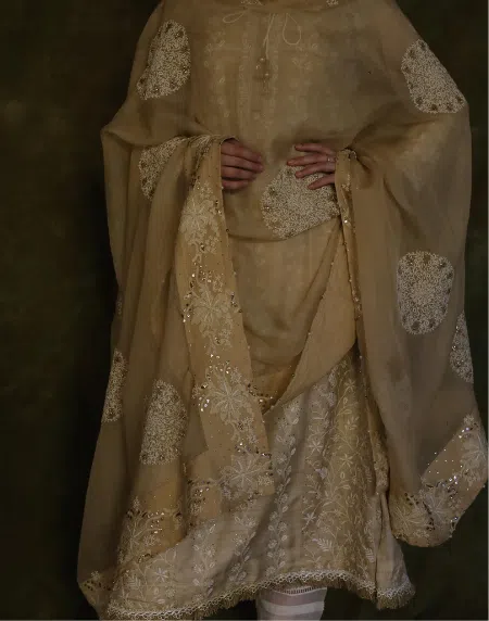 Coral Motif Noor Organza Dupattas | Beige