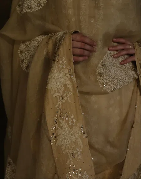 Coral Motif Noor Organza Dupattas | Beige