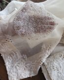 Coral Motif Noor Organza Dupattas