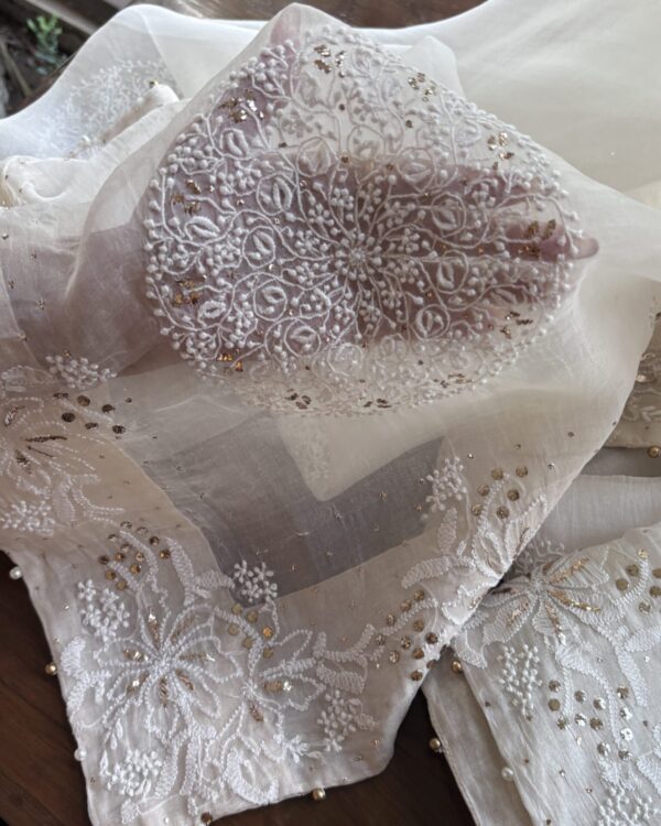Coral Motif Noor Organza Dupattas