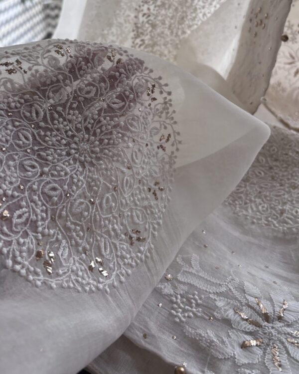 Coral Motif Noor Organza Dupattas - Image 4