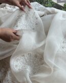 Coral Motif Noor Organza Dupattas