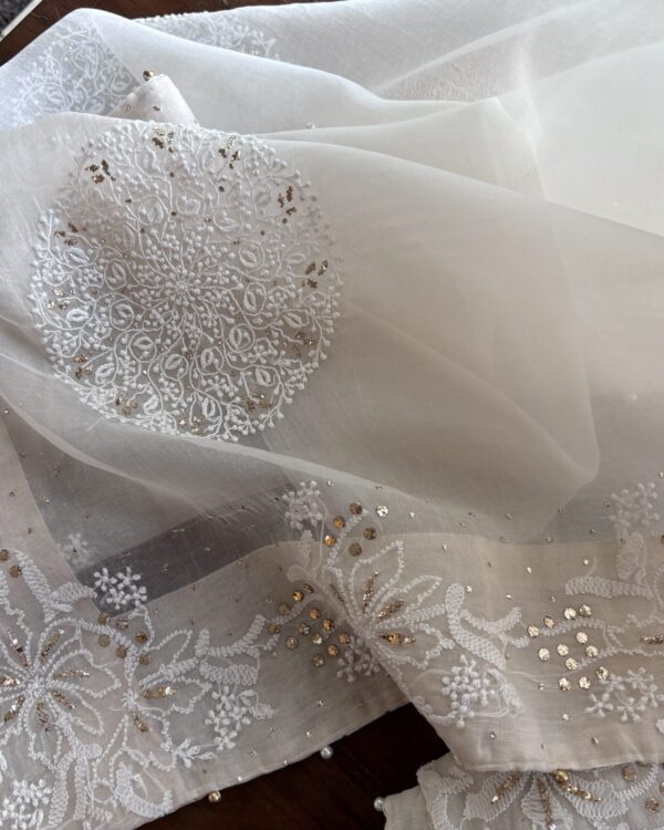 Coral Motif Noor Organza Dupattas - Image 7