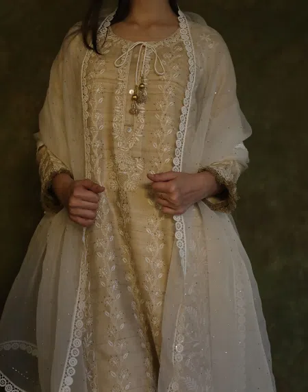 Kamdani Noor Organza Dupattas