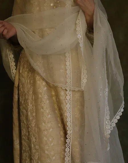 Kamdani Noor Organza Dupattas