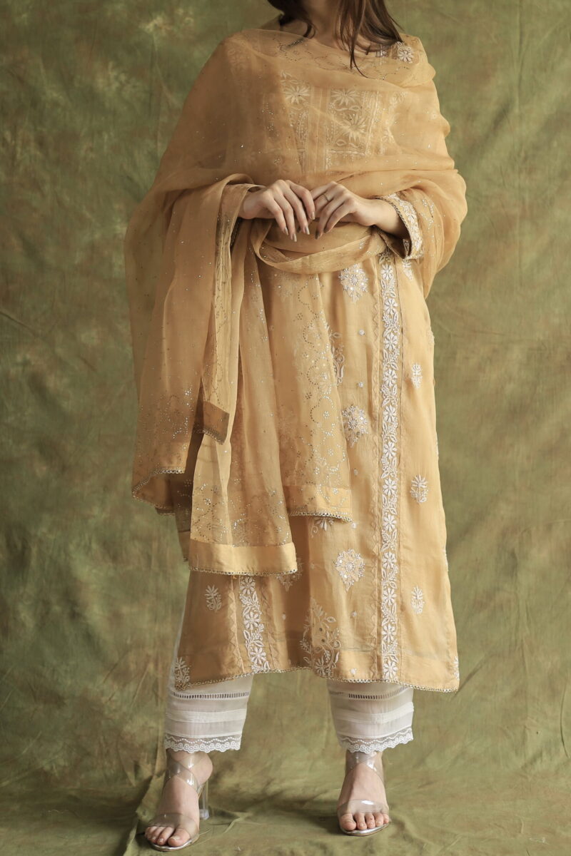 Noor Appliqu? Mukaish Kurta