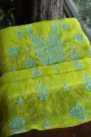 Neon Lime Noor Organza Silk
