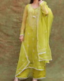 Neon Shade | Fine Chikankari Noor Organza Silk Kurta Set