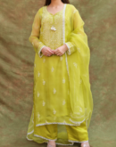 Neon Shade | Fine Chikankari Noor Organza Silk Kurta Set