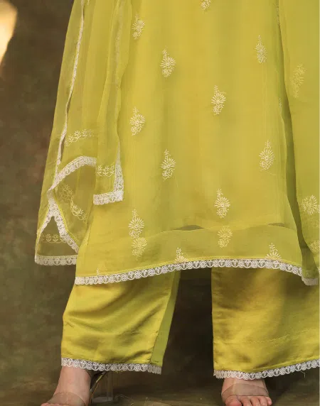 Neon Shade | Fine Chikankari Noor Organza Silk Kurta Set
