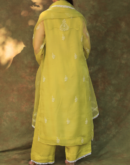 Neon Shade | Fine Chikankari Noor Organza Silk Kurta Set