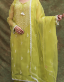 Neon Shade | Fine Chikankari Noor Organza Silk Kurta Set