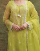 Neon Shade | Fine Chikankari Noor Organza Silk Kurta Set