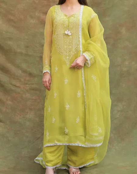Neon Shade | Fine Chikankari Noor Organza Silk Kurta Set