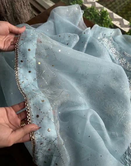 Organza Chikankari Applique Kurta Set