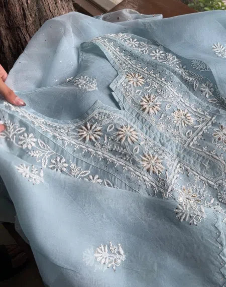 Organza Chikankari Applique Kurta Set