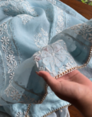Organza Chikankari Applique Kurta Set