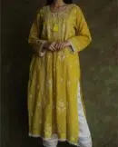 Tissue Silk Chikankari Bhopali