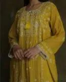 Tissue Silk Chikankari Bhopali