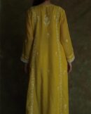 Tissue Silk Chikankari Bhopali