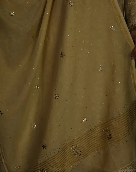 Tissue Silk Dupattas