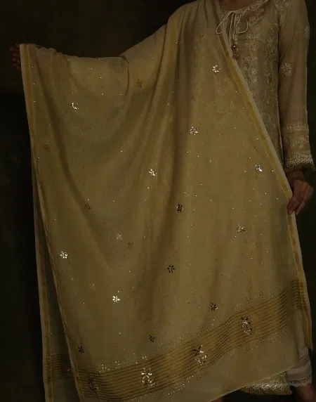 Tissue Silk Dupattas