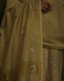 Tissue Silk Dupattas