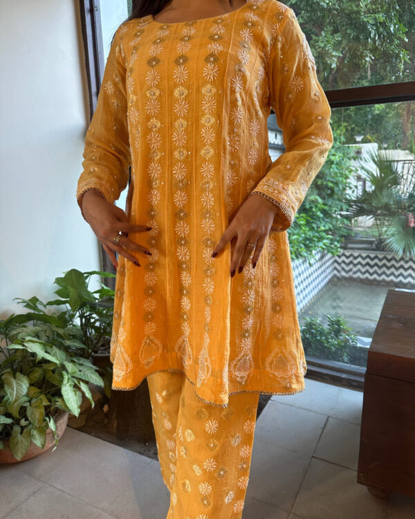 Zari Chanderi A Line Co-ord Set - Image 4