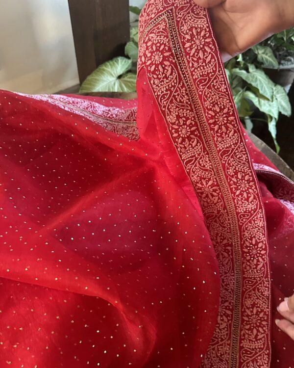 Noor Kamdani Crimson Red Border Chikankari Saree - Image 4