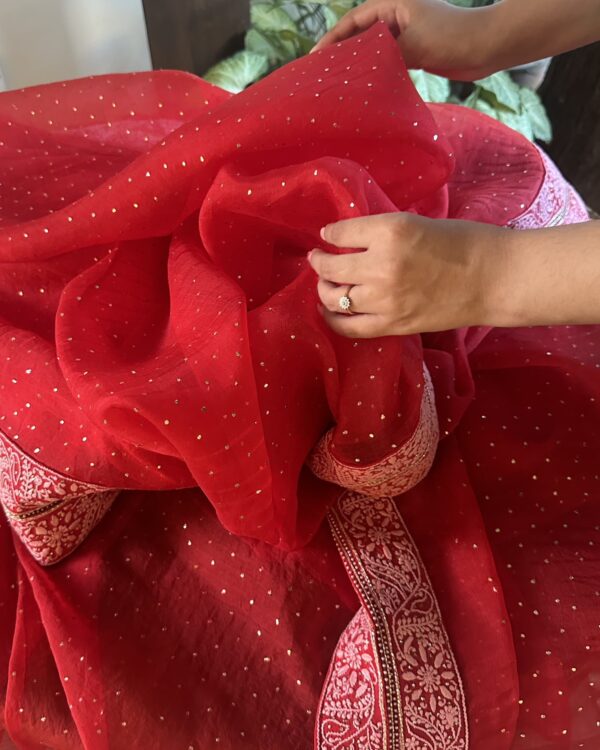 Noor Kamdani Crimson Red Border Chikankari Saree - Image 3