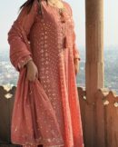 Peach Tangerine | Tissue Anarkali