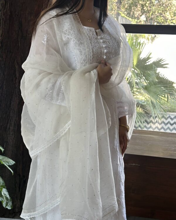 Kamdani Noor Organza Dupattas - Image 2