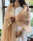 Kamdani Noor Organza Dupattas