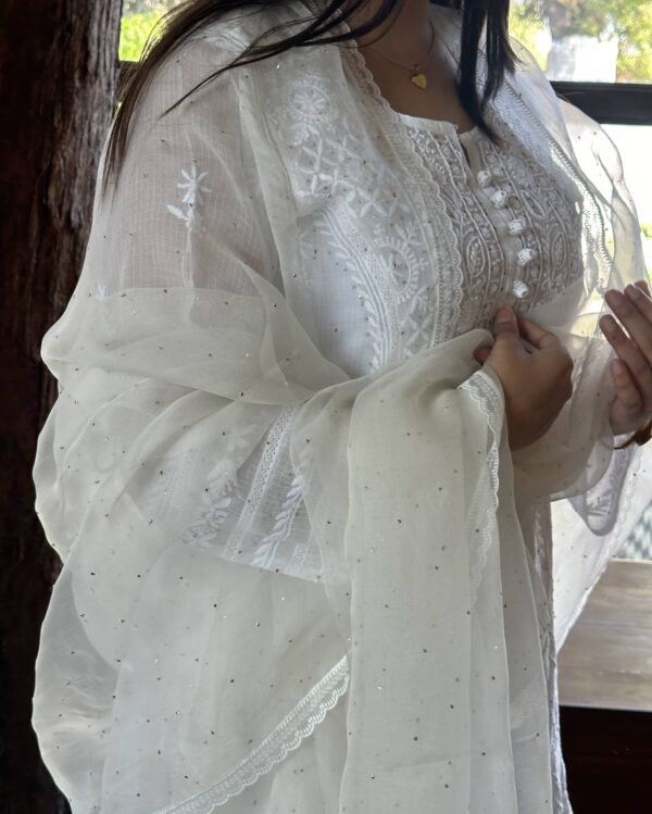 Kamdani Noor Organza Dupattas - Image 3