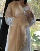 Kamdani Noor Organza Dupattas