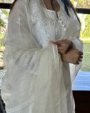 Kamdani Noor Organza Dupattas