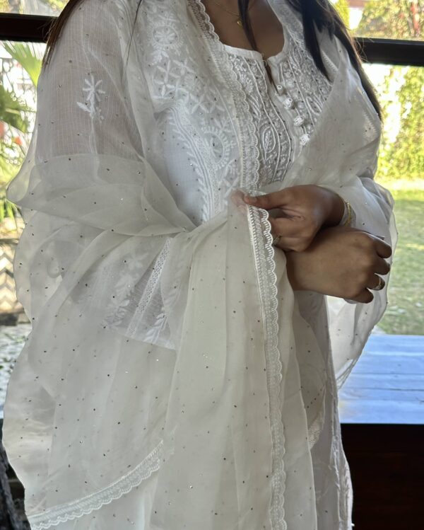 Kamdani Noor Organza Dupattas