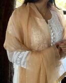 Kamdani Noor Organza Dupattas
