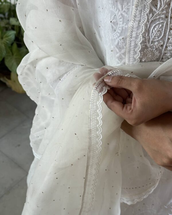 Kamdani Noor Organza Dupattas - Image 5