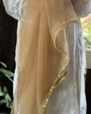 Kamdani Noor Organza Dupattas