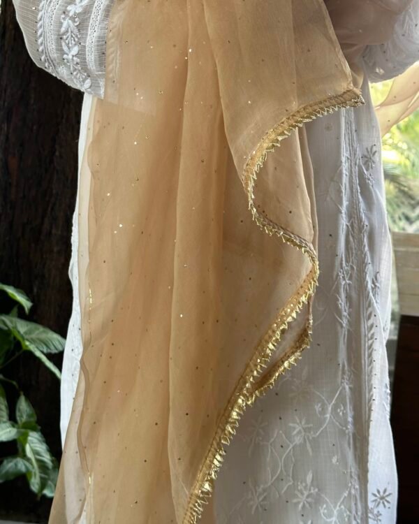 Kamdani Noor Organza Dupattas - Image 5
