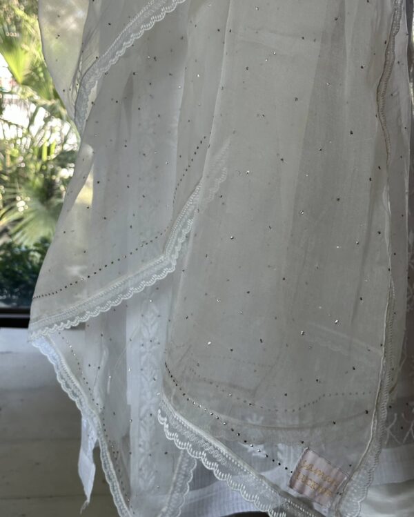 Kamdani Noor Organza Dupattas - Image 6