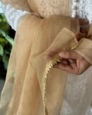 Kamdani Noor Organza Dupattas