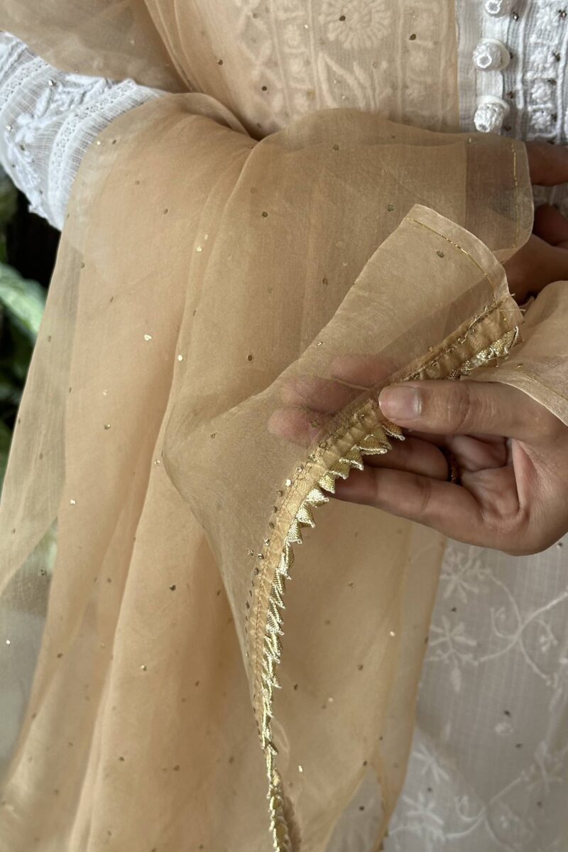 Kamdani Noor Organza Dupattas
