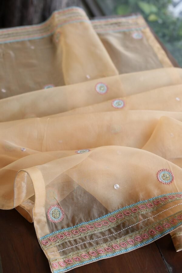 Noor Banarsi Organza Fabrics - Image 10